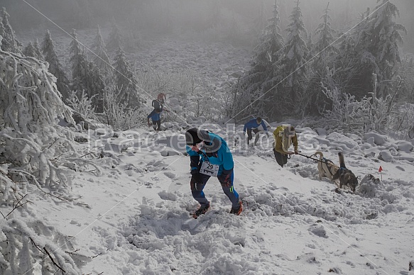 WINTER SkyRace 2017