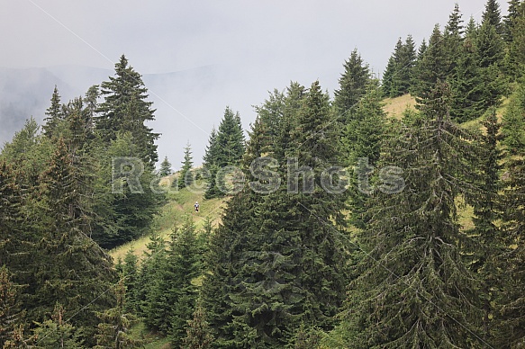 Ultra Fatra 2022