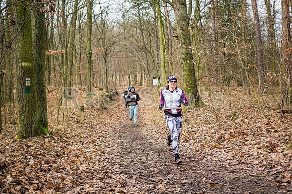 Trailová Závist 2017