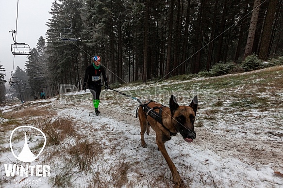 Winter Skyrace 2018 zdarma