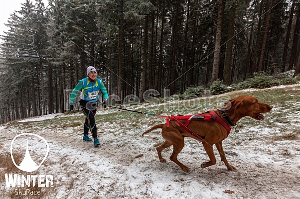 Winter Skyrace 2018 zdarma