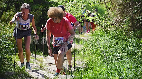 Interski Run 2019