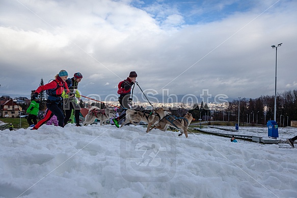 Starty a cílová fota Winter Skyrace 2019