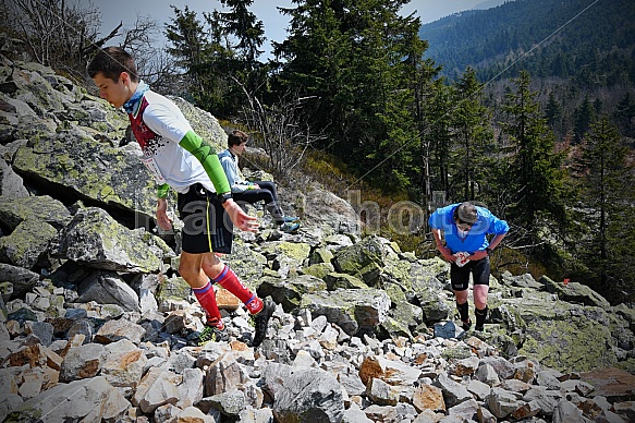 Ještěd Skyrace galerie
