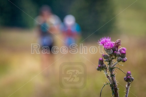 Fotografie ze závodu Ultra Fatra 2020