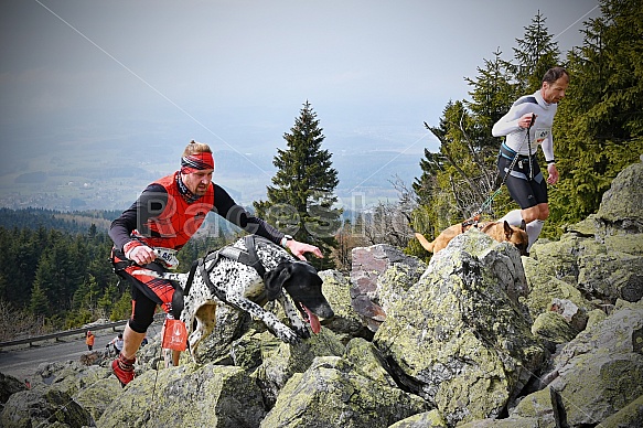 Ještěd Skyrace závody