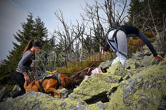 Ještěd Skyrace závody