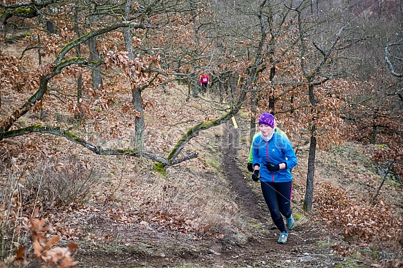 Trailová Závist 2017