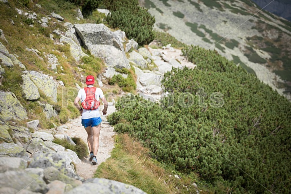 Tatranská Šelma Ultra 2017