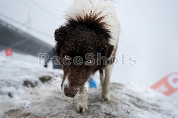 Fotografie WINTER Skyrace 2019
