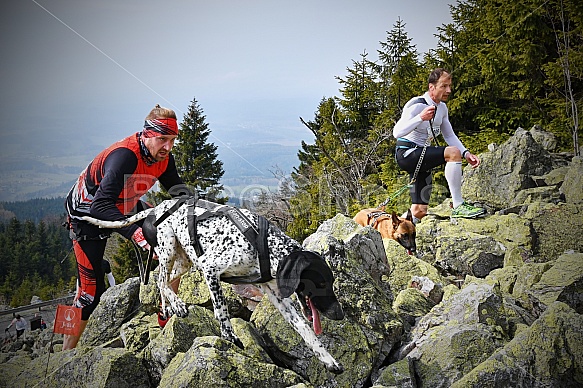Ještěd Skyrace závody