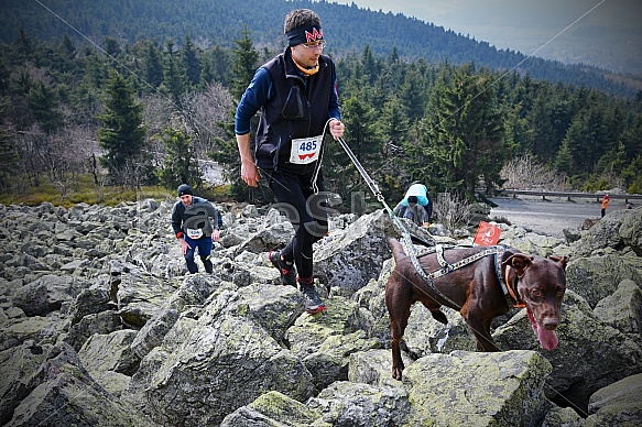 Ještěd Skyrace závody