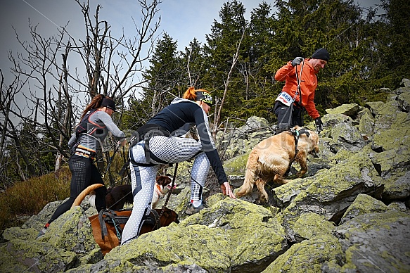 Ještěd Skyrace závody