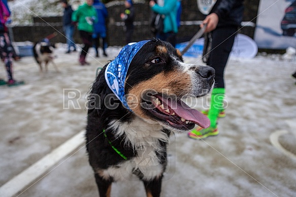 Starty a cílová fota Winter Skyrace 2019