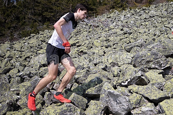 Ještěd Skyrace a trail 2019