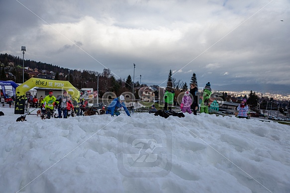 Starty a cílová fota Winter Skyrace 2019