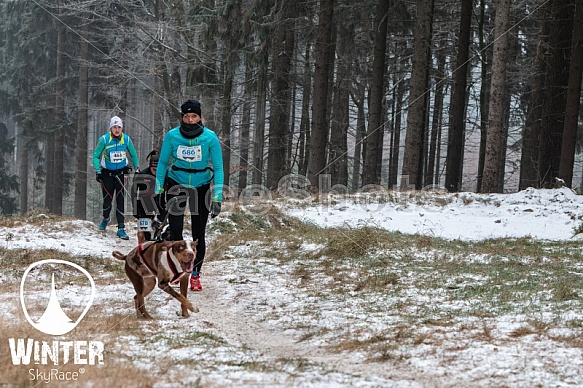 Winter Skyrace 2018 zdarma