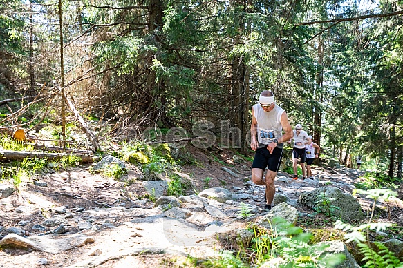 Interski Run 2021