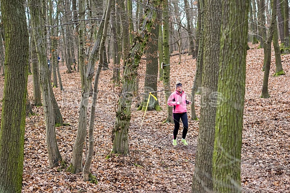 Trailová Závist 2017 Trailová Závist 2017