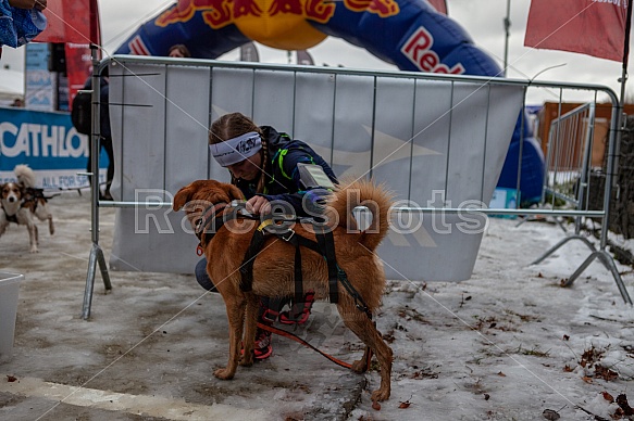 Starty a cílová fota Winter Skyrace 2019