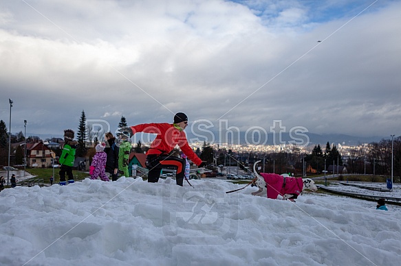 Starty a cílová fota Winter Skyrace 2019