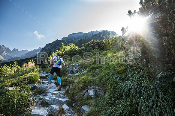 Tatranská Šelma Ultra 2017