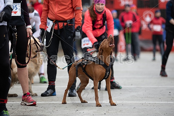 Ještěd Skyrace a trail 2019