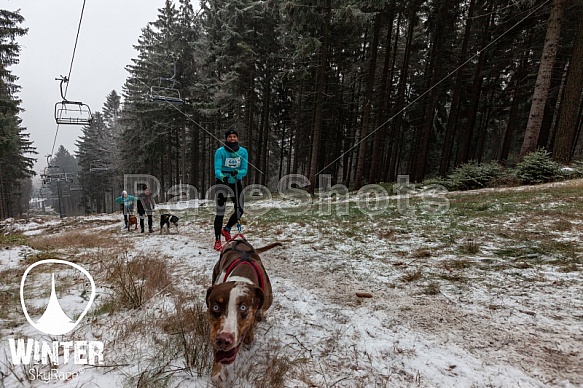 Winter Skyrace 2018 zdarma