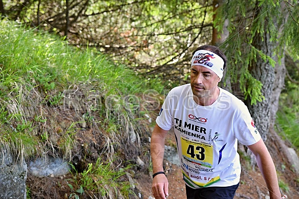 TRT 2018 - Interski Run