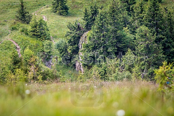 Fotografie ze závodu Ultra Fatra 2020