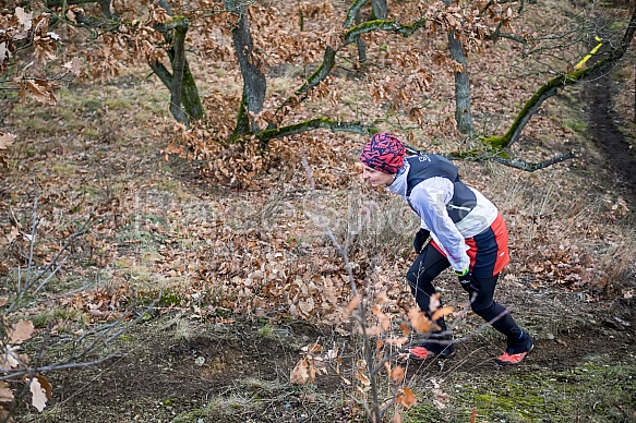 Trailová Závist 2017