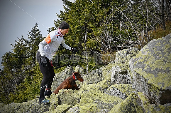 Ještěd Skyrace závody