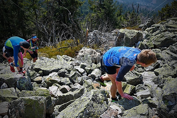 Ještěd Skyrace galerie