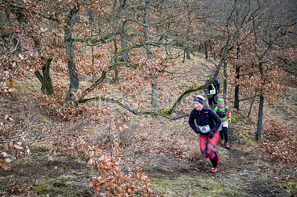 Trailová Závist 2017 Trailová Závist 2017