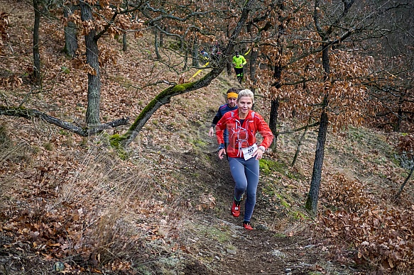 Trailová Závist 2017