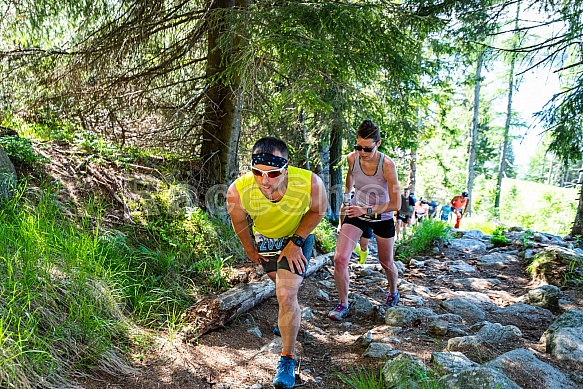 Interski Run 2021