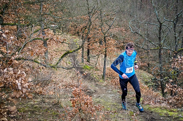 Trailová Závist 2017 Trailová Závist 2017