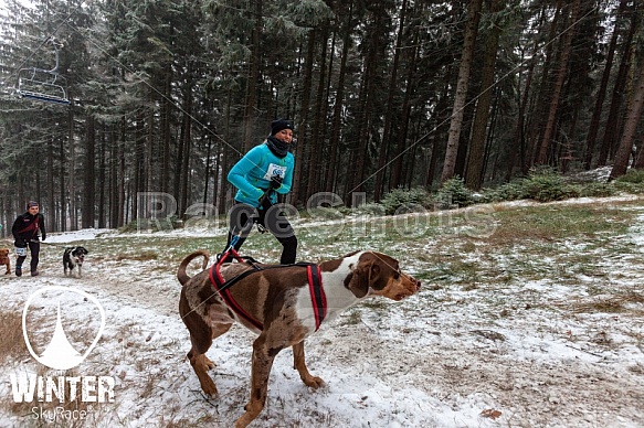 Winter Skyrace 2018 zdarma