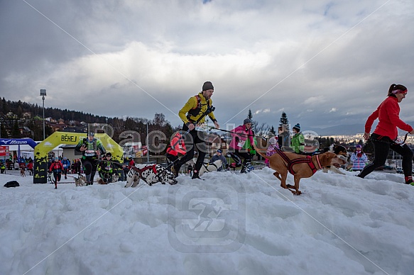 Starty a cílová fota Winter Skyrace 2019