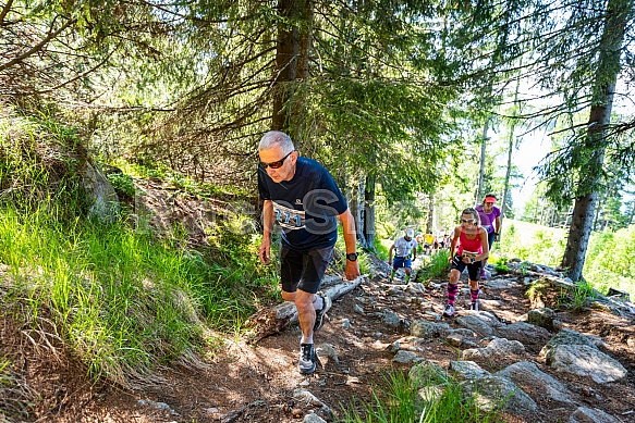 Interski Run 2021