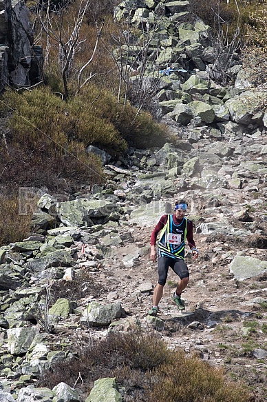 Ještěd Skyrace a trail 2019