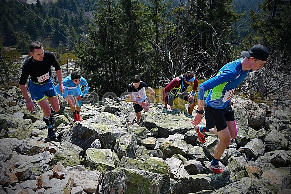 Ještěd Skyrace galerie