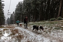 Winter Skyrace 2018 zdarma