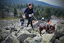 Ještěd Skyrace závody