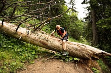 Fotogalerie Ultra Fatra 2020