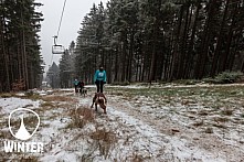 Winter Skyrace 2018 zdarma