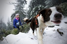 Fotografie WINTER Skyrace 2019