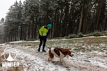 Winter Skyrace 2018 zdarma