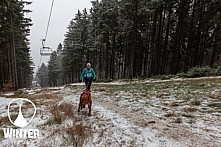 Winter Skyrace 2018 zdarma