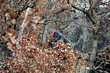Fotografie Trailová Závist 2017